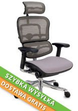 Fotel ergonomiczny Ergohuman Plus  BT KMD30, szary